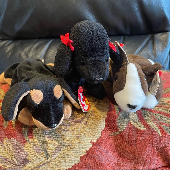 Meet the TY Beanie Baby Dogs! - Picture 5 of 8
